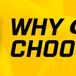 Why Champs Choose Howies