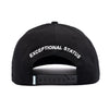 The Mich Lid Hats Howies Hockey Tape