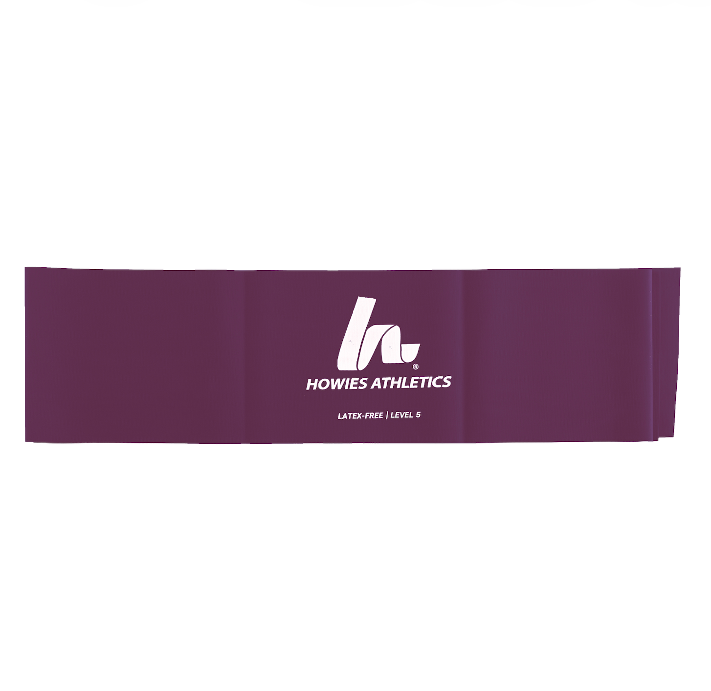 Resistance Bands - Level 5 (Plum)